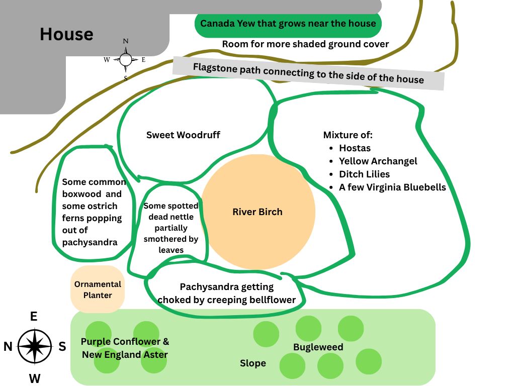 Another crude diagram of a different part of my yard